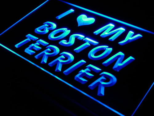 I Love Boston Terrier Dog Pet Neon Light Sign
